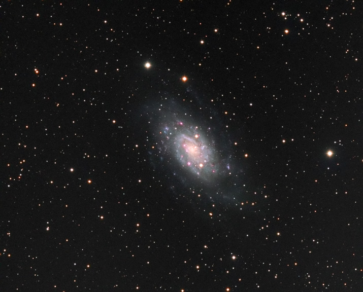 NGC2403