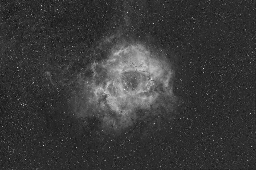 <b>Rosette Nebula in Hydrogen Alpha</b>